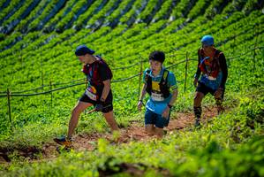 BIB: 
                            <button type="button" onclick="openModal(19162384)" class="btn btn-primary btn-sm float-right btn-popup" data-toggle="modal" data-target=".modal-high-quality">
                        <i class="fas fa-shopping-cart"></i> Add to Cart
                    </button>
                                            <button type="button" onclick="isThisMe(19162384, true)" class="btn btn-success btn-sm float-right btn-popup btn-isme hidden" data-toggle="tooltip" data-placement="bottom" title="นี่คือรูปของคุณใช่ไหม คลิกที่นี่เพื่อเอาเข้าอัลบั้ม">
                        <i class="fas fa-plus"></i> Add to album
                    </button>
                    <button type="button" onclick="isThisMe(19162384, false)" class="btn btn-warning btn-sm float-right btn-popup btn-isnotme hidden">
                        <i class="fas fa-ban"></i> Remove from album
                    </button>